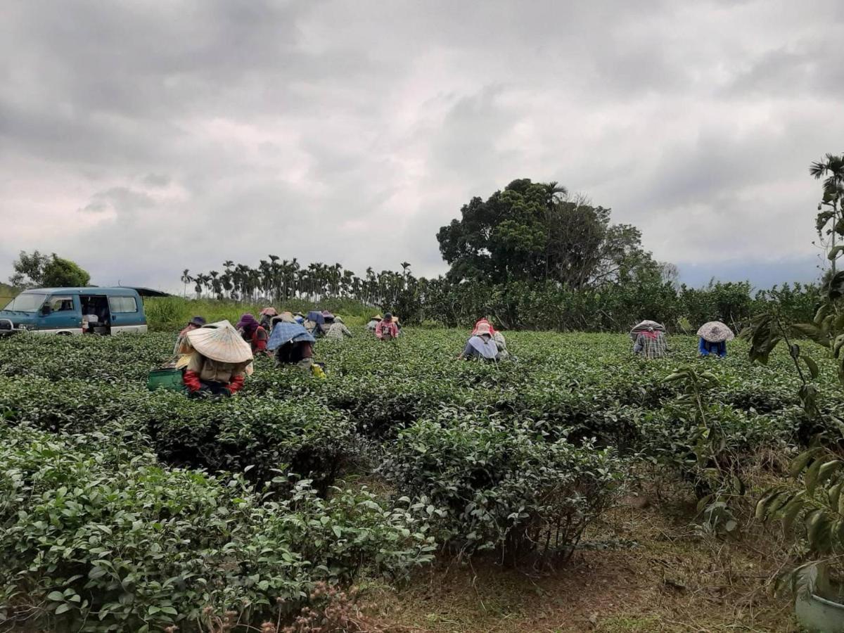Dong Li Tea Homestay Ruisui Esterno foto