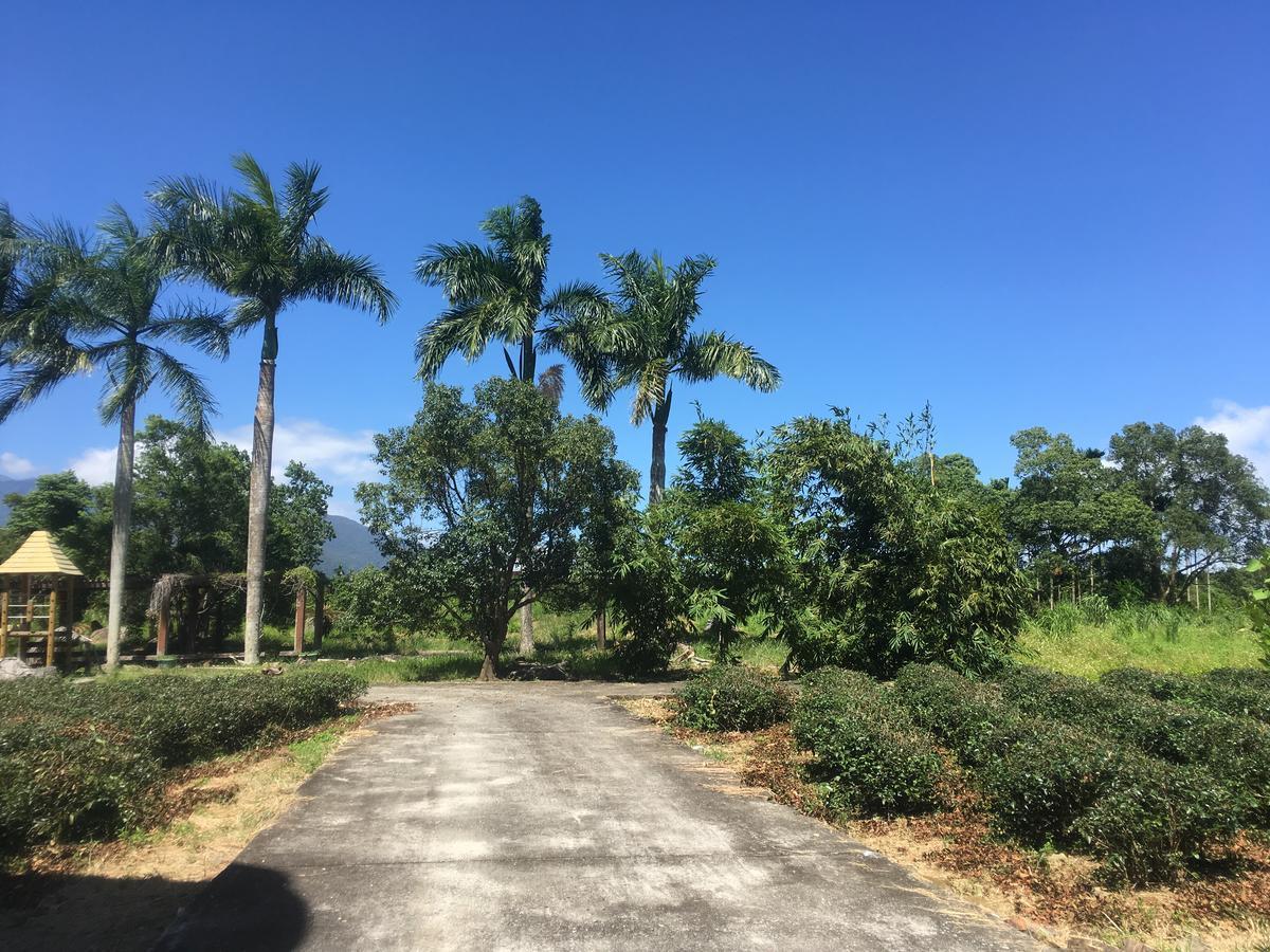 Dong Li Tea Homestay Ruisui Esterno foto